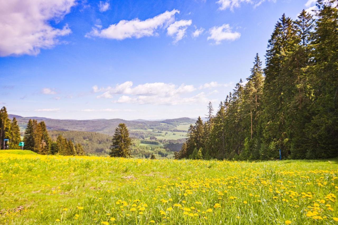 Apartmany Dolce Vita Lipno 511-5 S Vyhledem Na Jezero Lipno nad Vltavou Exteriör bild